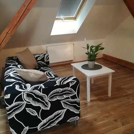 Anenska 5 *